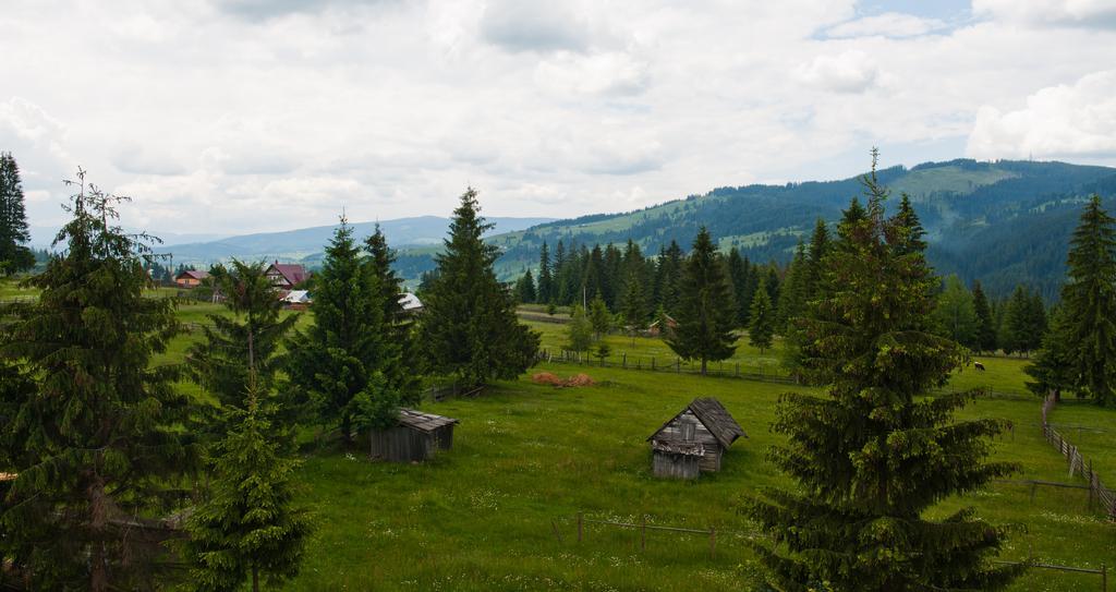 Отель Domeniul Dornei Ватра-Дорней Экстерьер фото