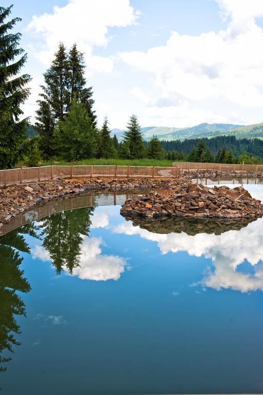 Отель Domeniul Dornei Ватра-Дорней Экстерьер фото