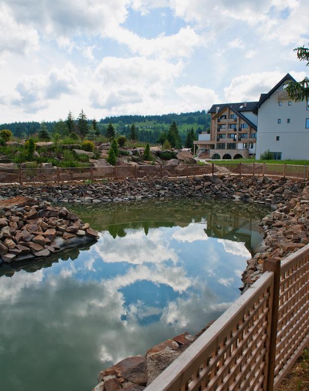 Отель Domeniul Dornei Ватра-Дорней Экстерьер фото